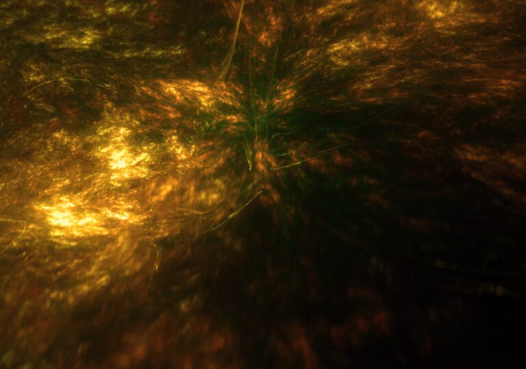 Astrology, Free Will and Predestination