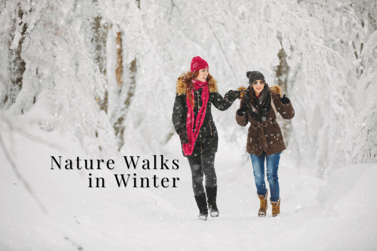 Nature Walks in Winter