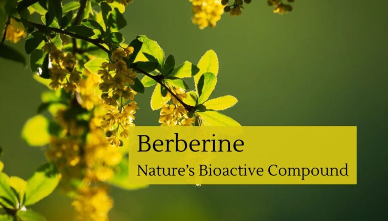 Berberine: Nature’s Bioactive Compound