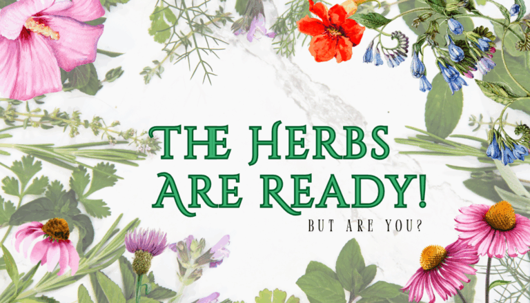 The Herbs Are Ready! Are You?