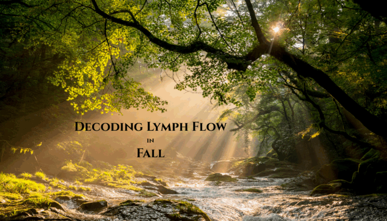 Decoding Lymph Flow in Fall