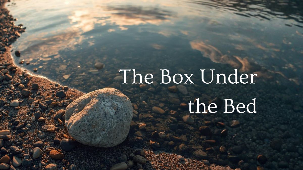 River stone sit at the edge of a pond