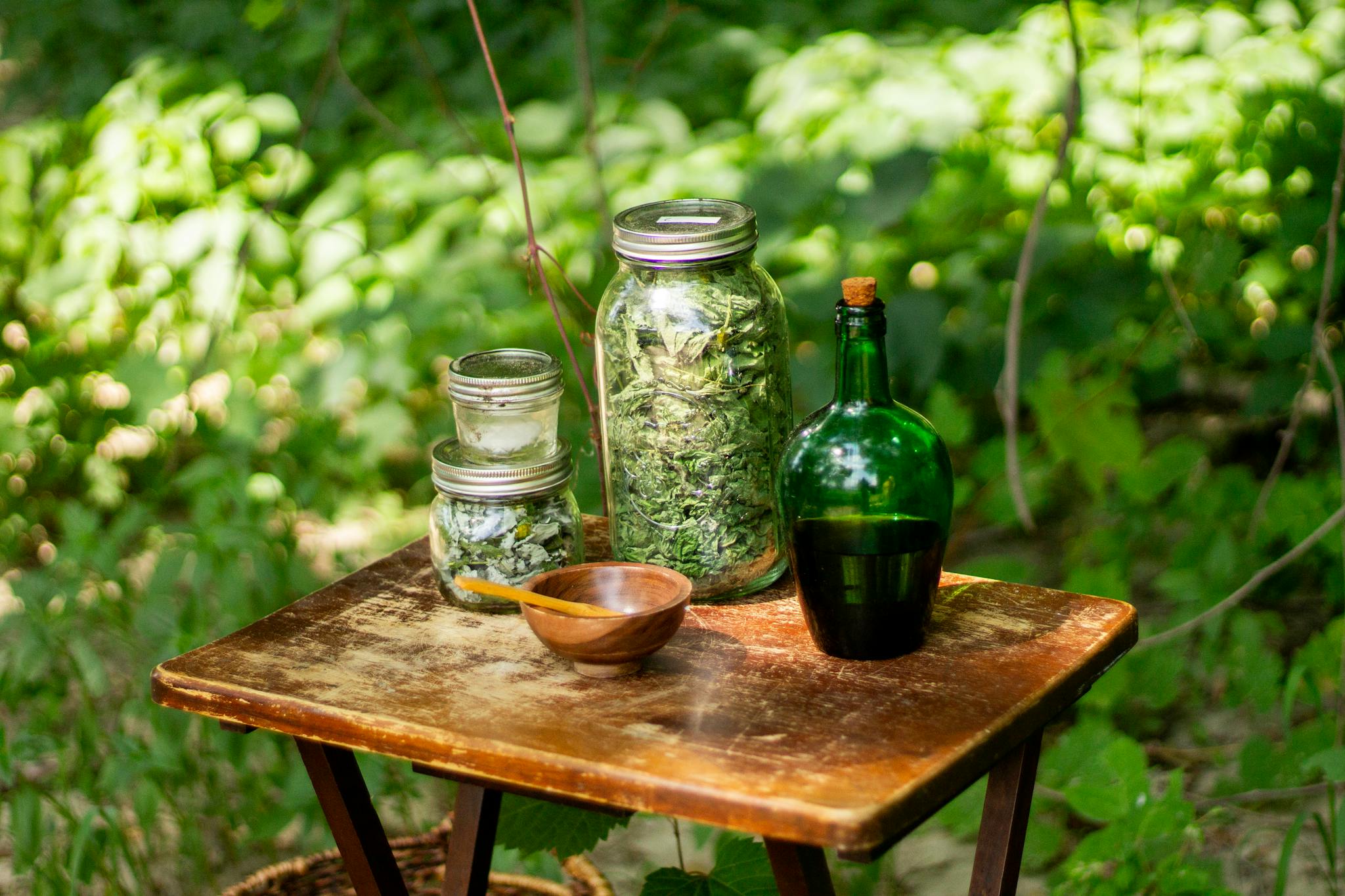 Jars filled with dried herbs and a bottle on a wooden table amidst greenery, depicting natural remedies.