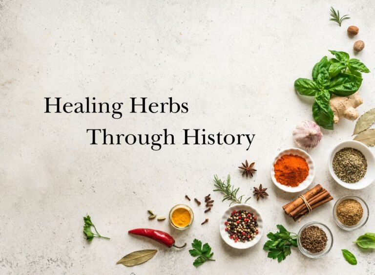 Healing Herbs Through History