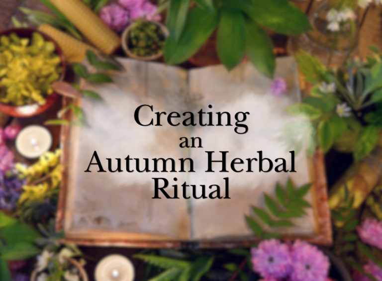 Creating an Autumn Herbal Ritual